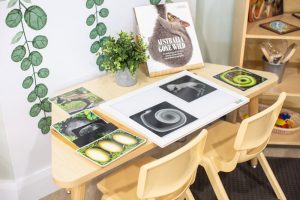 childcare baulkham hills