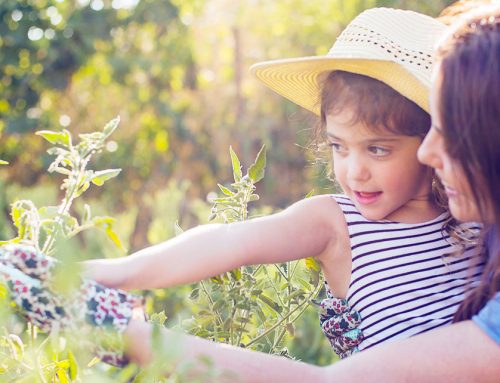 Where they belong: The importance of community in early education